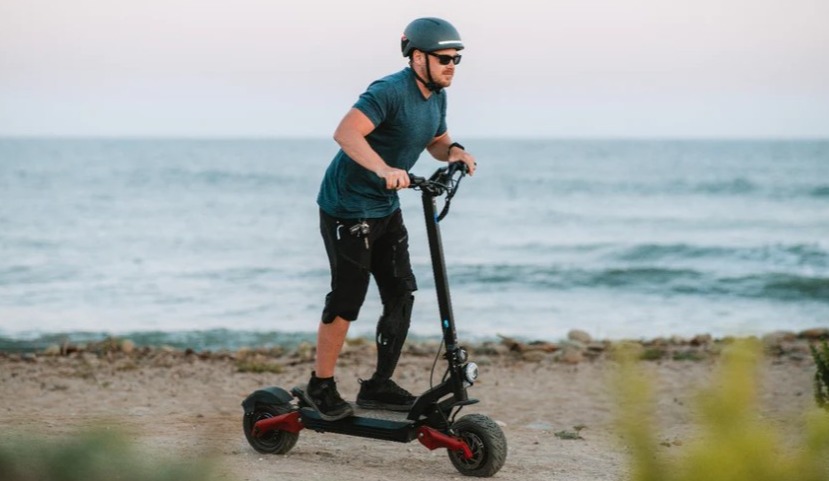 Electric Scooter Varla